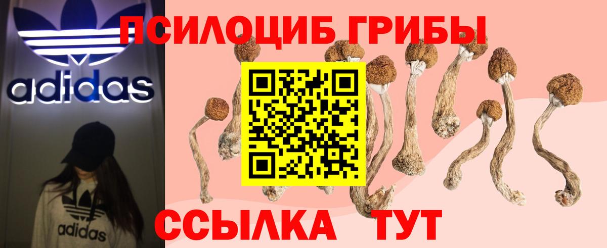 Приморско-Ахтарск  купить   Галлюциногенные грибы Magic Shrooms  Вход с VPN  Псилоцибиновые грибы Magic Shrooms 