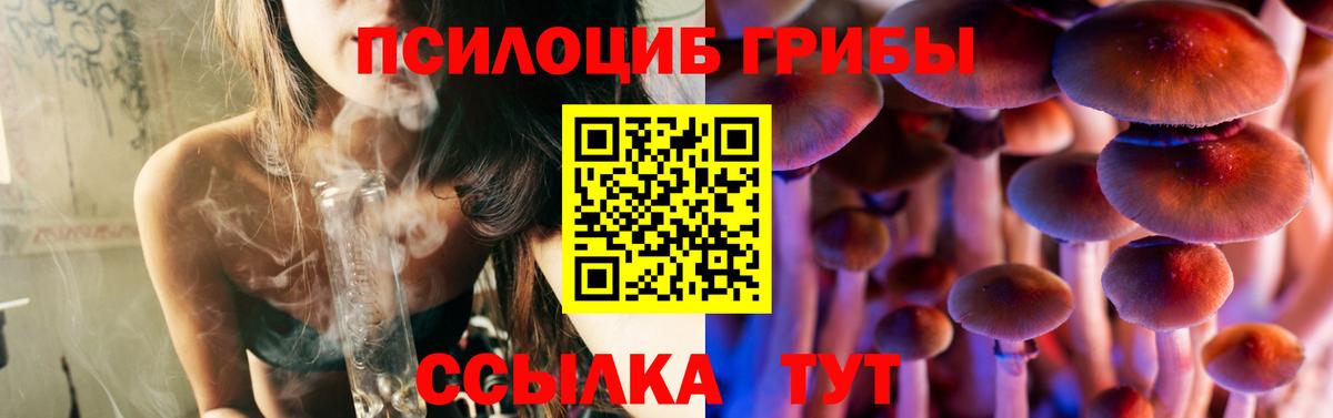 Галлюциногенные грибы прущие грибы Приморско-Ахтарск